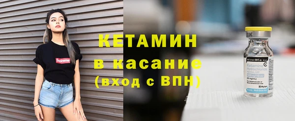 индика Арсеньев