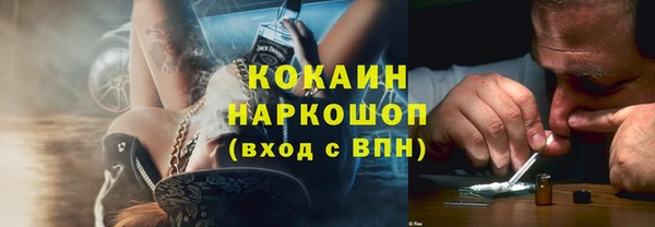 индика Арсеньев