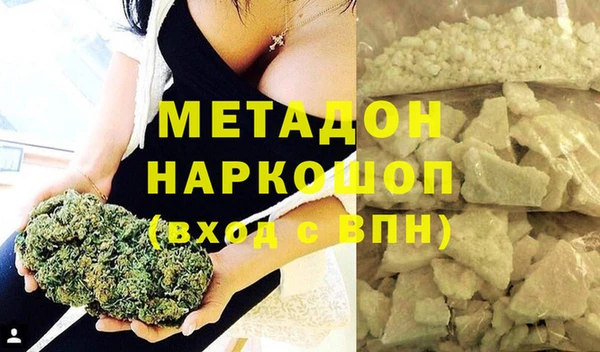 индика Арсеньев