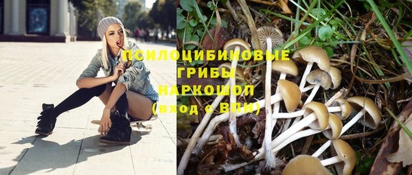 спиды Баксан