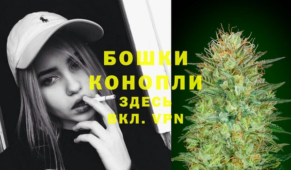 спайс Аркадак