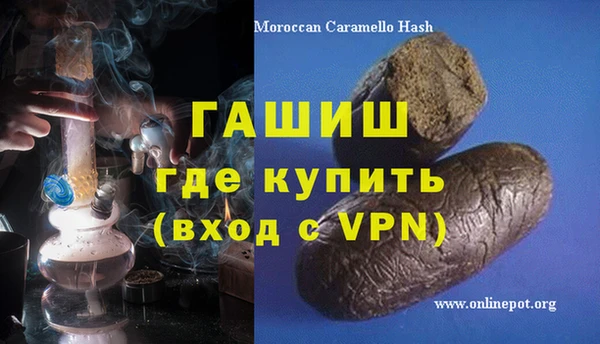 индика Арсеньев