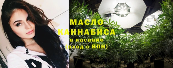 индика Арсеньев