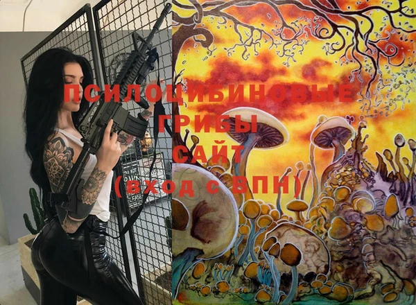 спайс Аркадак